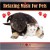 Buy Critter Comforts: Relaxing Music For Pets CD1