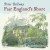 Buy Fair England's Shore CD1