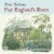 Purchase Fair England's Shore CD1 Mp3