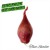 Purchase That Shallot Mp3