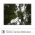 Buy Surface Reflections