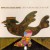 Buy Catch A Singing Bird On The Road (Vinyl)