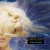 Buy Brilliant Midnight