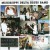 Purchase Mississippi Delta Blues Band (Vinyl) Mp3