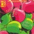 Purchase Apple Bobbing (EP) Mp3