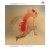 Purchase Drifter (CDS) Mp3
