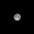 Purchase Moon Phantoms Mp3