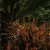 Buy Something Good (EP)
