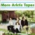 Buy More Arktis Tape (Vinyl)