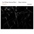 Buy Carl Philipp Emanuel Bach: Tangere