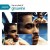 Purchase Playlist The Very Best Of Ginuwine Mp3