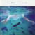 Purchase In The Belly Of A Whale Mp3