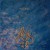 Buy Pacific (EP)