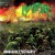 Buy Honourable Discharge