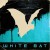 Buy White Bat XVII