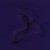 Buy Dim Lit