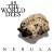 Purchase Nebula Mp3