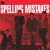 Purchase We Still Hate The Spelling Mistakes Mp3