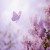 Purchase Dance Of Life Mp3