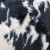 Buy Blawan 