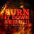 Purchase Burn It Down (CDS) Mp3