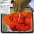 Buy Forensic Follies