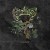 Purchase Mohican Mp3