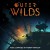 Purchase Outer Wilds