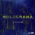 Buy Holograma