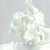 Purchase Porzellan Mp3
