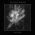 Purchase Cerement Mp3