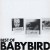 Buy Best Of Babybird