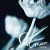 Purchase Cold (EP) Mp3