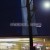 Purchase Starlight (Remixes) Mp3