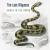 Purchase Snake In The Grass Mp3
