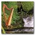 Purchase Celtic Serenity Mp3