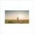 Purchase Like A Dream Mp3
