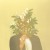 Purchase French Kiwi Juice Mp3