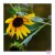 Purchase Part III / Part Iv Mp3