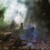 Buy Earthcult