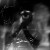 Purchase Lead Dreams / Flayed So Light (EP) Mp3