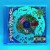 Purchase 2005 Mp3