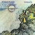 Purchase Nordland (Vinyl) Mp3