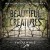 Purchase Beautiful Creatures