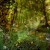 Purchase Dance Of The Dryads (CDS) Mp3