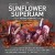 Purchase Sunflower Superjam - Live At The Royal Albert Hall 2012 Mp3