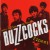 Purchase Ever Fallen In Love? Buzzcocks Finest Mp3