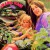 Purchase Dream A Little Dream (Vinyl) Mp3