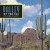 Purchase Valley Of The Sun Mp3