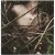 Purchase Canzoni Contro La Natura Mp3